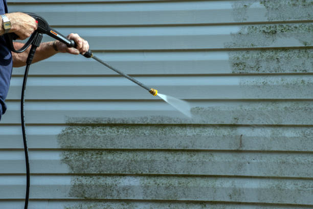 Best Dumpster Area Cleaning  in Ruthers, CA